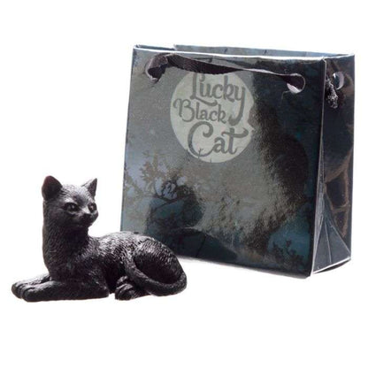 Lucky Black Cat in a Mini Gift Bag