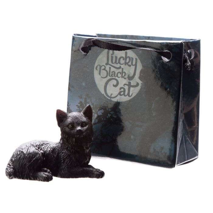 Lucky Black Cat in a Mini Gift Bag