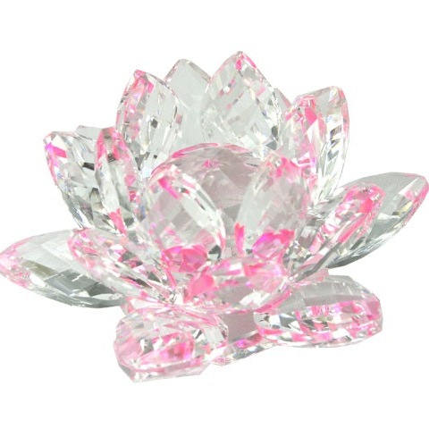 Crystal Waterlily Pink