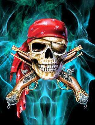 4D Art Pirate Skull H081 30x40