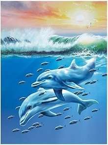 4D Dolphins H090 29x39