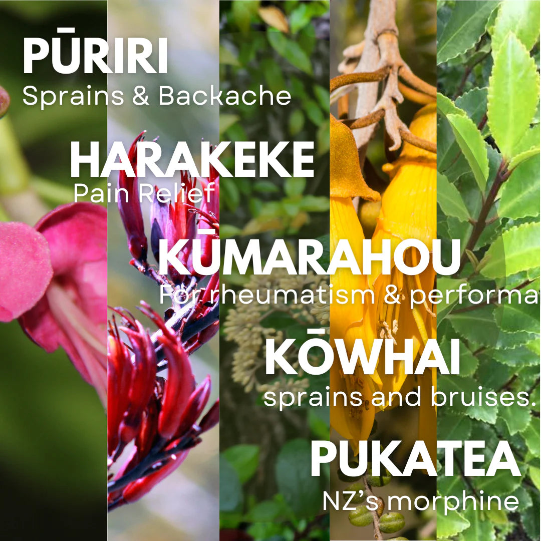 X-ZONE Sports Spray 100ml