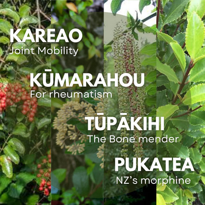 X-ZONE Joints Rub 100ml