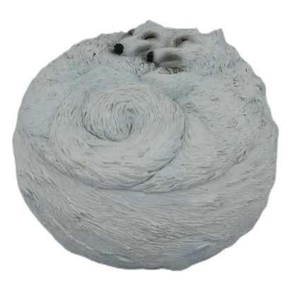 Mystical Wolves Trinket Box