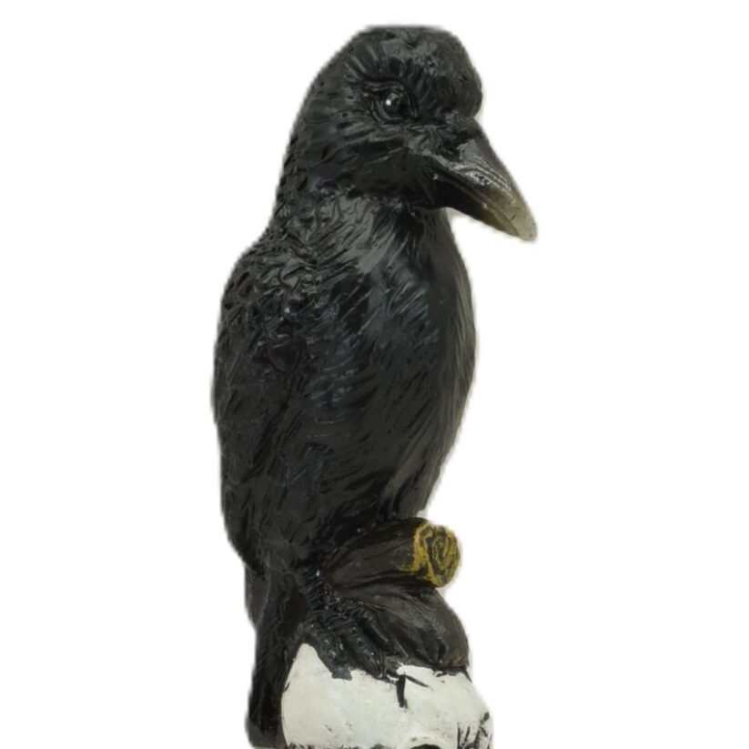 Raven on Skull Magick Wand