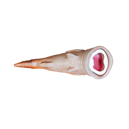 Snapper Fish Bottle Opener