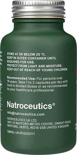 NATROCEUTICS Quercetin Bioactive 60 Capsules