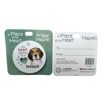 Beagle Piece of My Heart Magnet