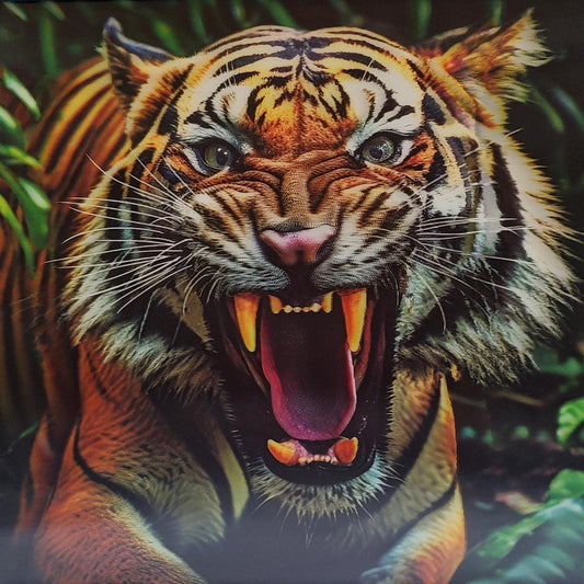3D Art Tiger Leaping 30x40CM
1st Stop, Marshall's Health Shop, Gift Shop!

SKU: TD16