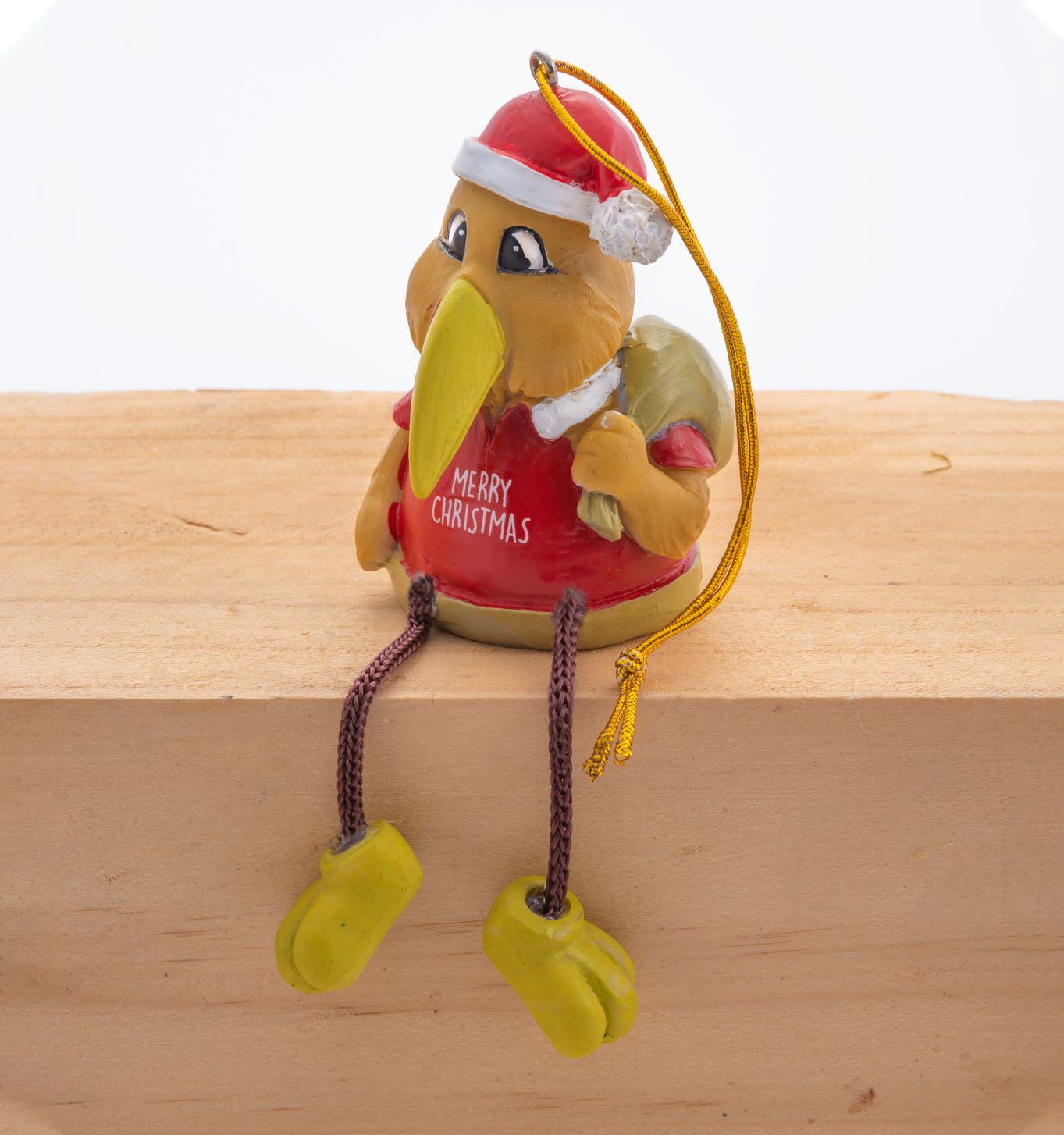 Salisbury Xmas Kiwi with Bag