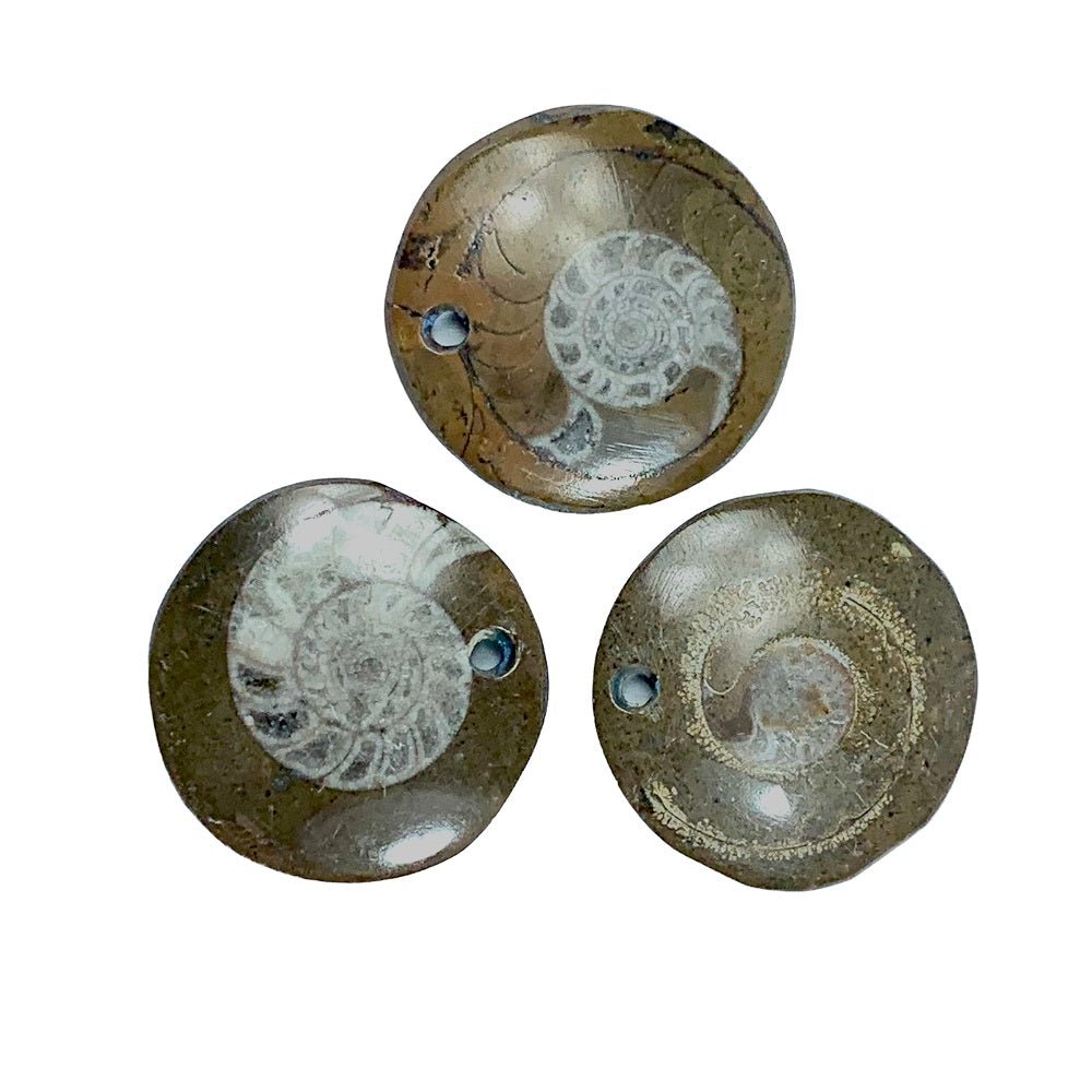 Ammonite Fossil Pendant Brown Small - MarshallsHealthShop