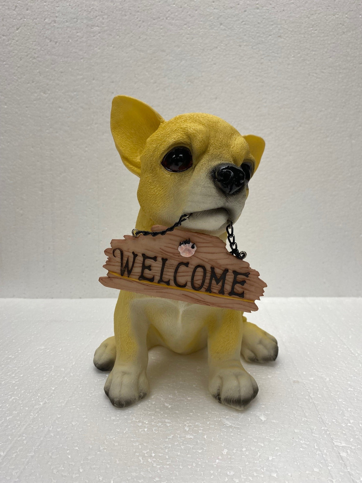 Welcome Dog (C)