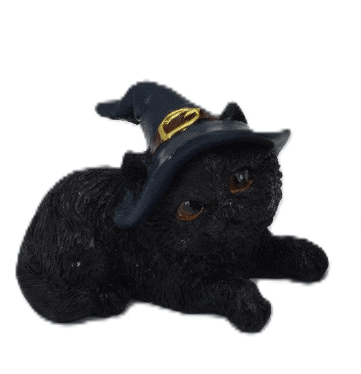 Baby Witch Cat - MarshallsHealthShop