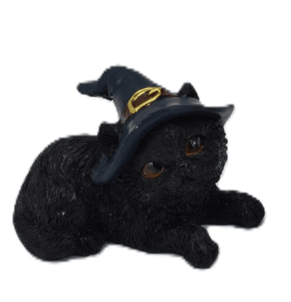 Baby Witch Cat - MarshallsHealthShop