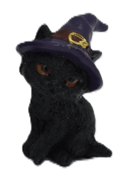 Baby Witch Cat - MarshallsHealthShop
