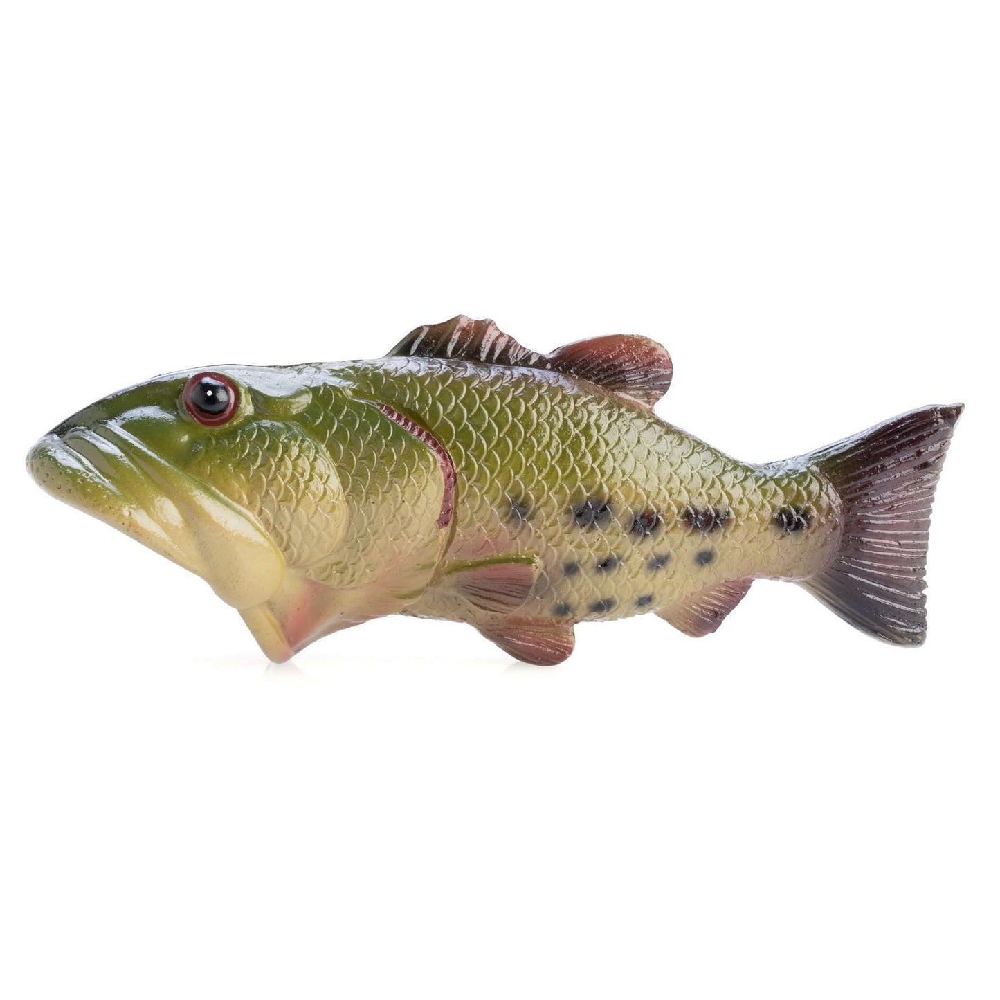 Bass Fish Bottle Opener - MarshallsHealthShop