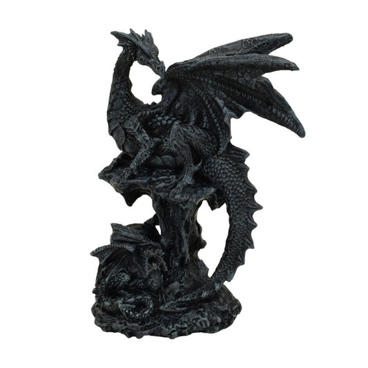Black Dragon Protecting Hatchling - MarshallsHealthShop