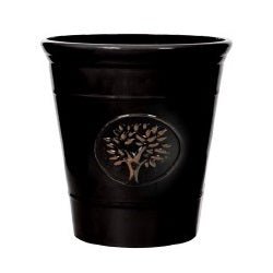 Blenheim Tree 30cm Black - 1st Stop Marshall's Health Shop, Gift Shop! - Heath and Natural Therapy New Brighton Christchurch - Naturopath
