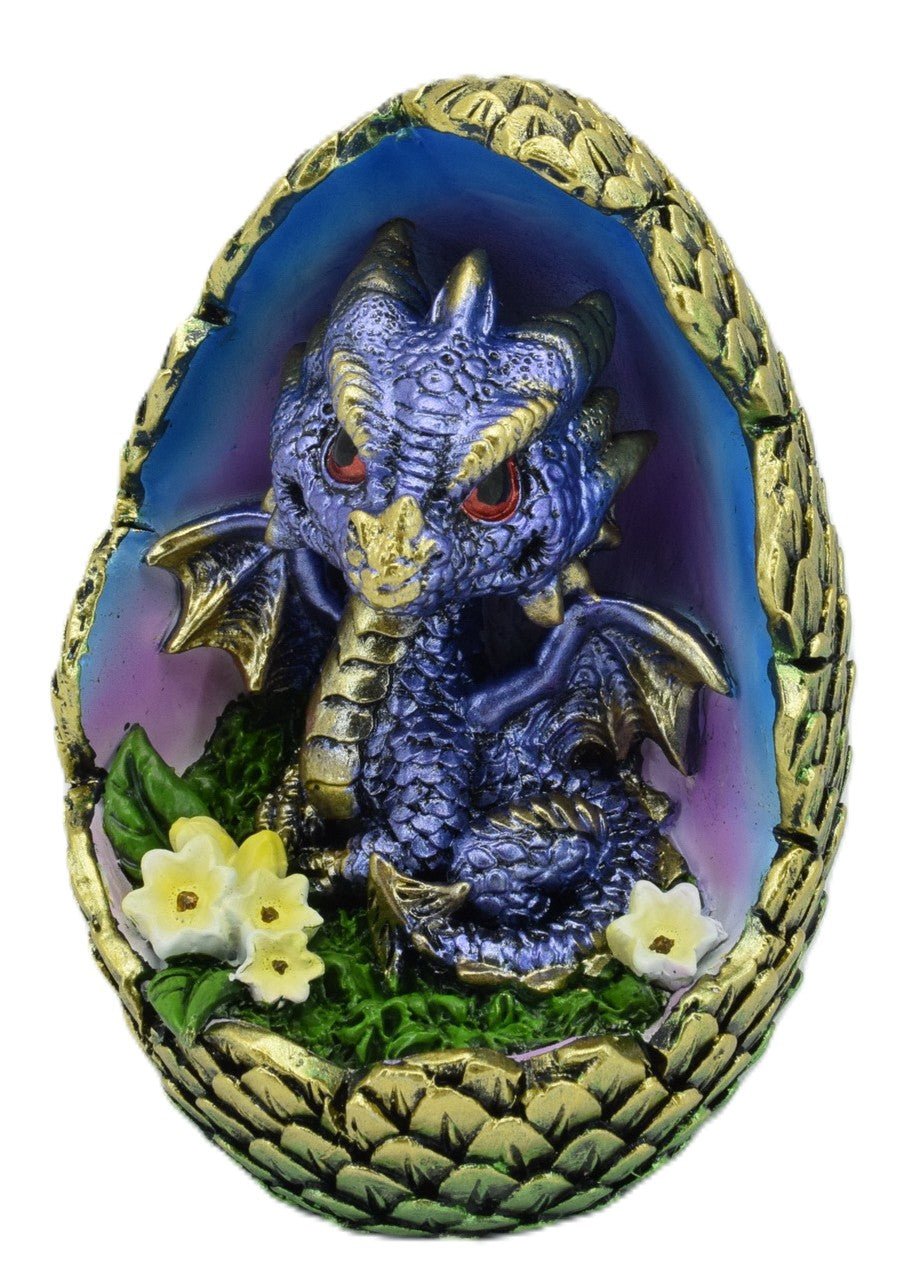 Blue Dragon In Egg - MarshallsHealthShop