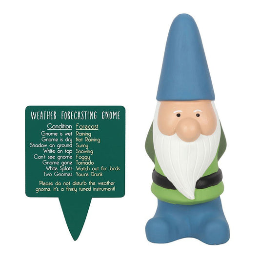 Blue Weather Forecasting Gnome Large - MarshallsHealthShop