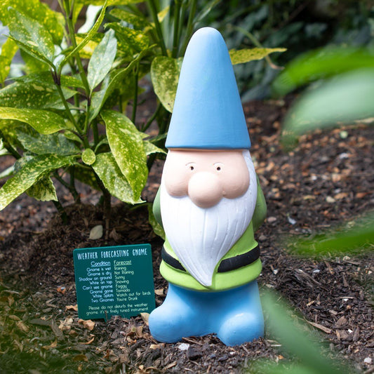 Blue Weather Forecasting Gnome Large - MarshallsHealthShop