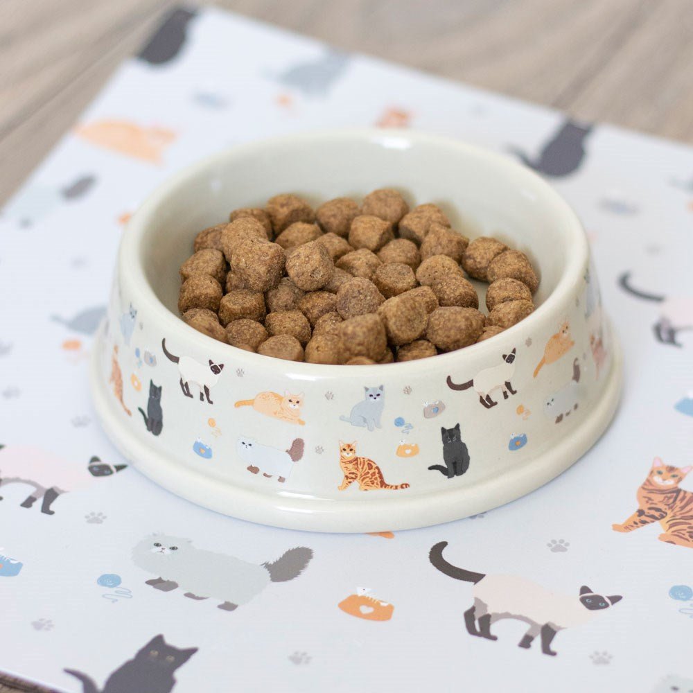 Cat Print Food Bowl - MarshallsHealthShop
