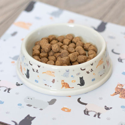 Cat Print Food Bowl - MarshallsHealthShop