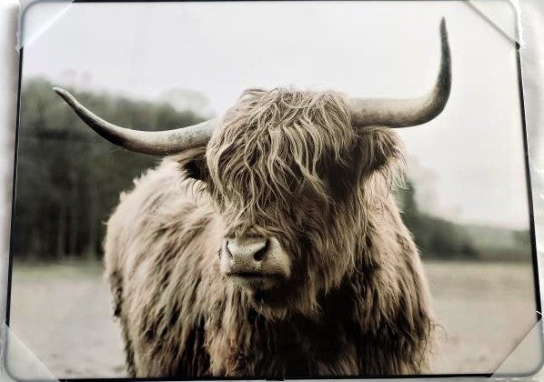 Framed PVC Pop Art Highland Cow (PA11)
