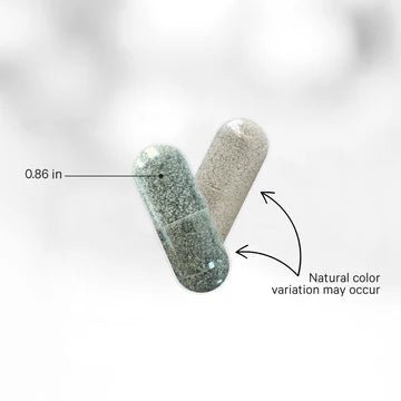 CODEAGE Full Spectrum Binder+ 90 Capsules - 1st Stop Marshall's Health Shop, Gift Shop! - Heath and Natural Therapy New Brighton Christchurch - Naturopath