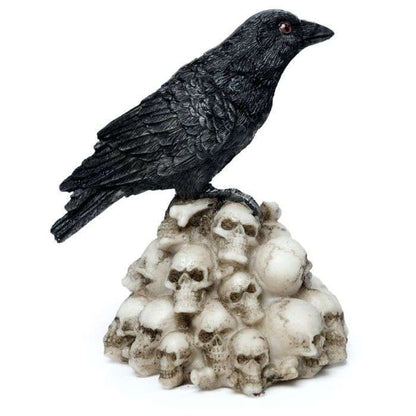 Crow Standing on Pile of Skulls - MarshallsHealthShop