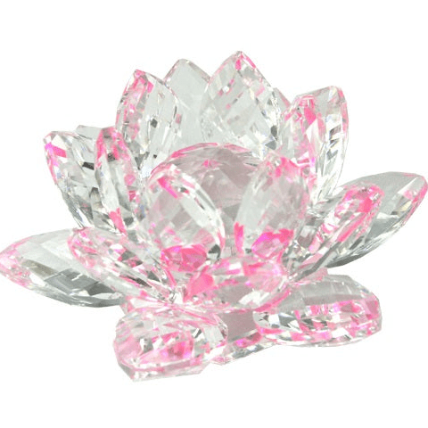 Crystal Waterlily Pink - MarshallsHealthShop