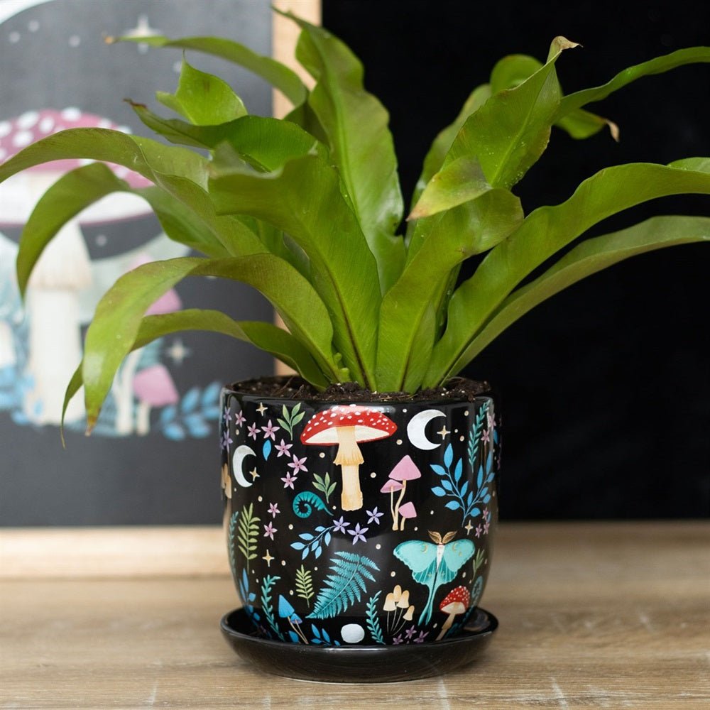 Dark Forest Print Ceramic Plant Pot with Saucer - MarshallsHealthShop
