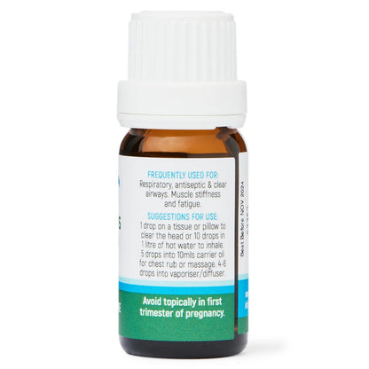 Dolphin Clinic Eucalyptus Pure Essential Oil 10ml - 1st Stop Marshall's Health Shop, Gift Shop! - Heath and Natural Therapy New Brighton Christchurch - Naturopath