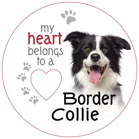Border Collie Piece of My Heart Magnet&nbsp;
W:7 x D:7 cm - Magnet - 7 cm Diameter, MDF Magnets with Cut out Heart.

SKU: RCPHM43
