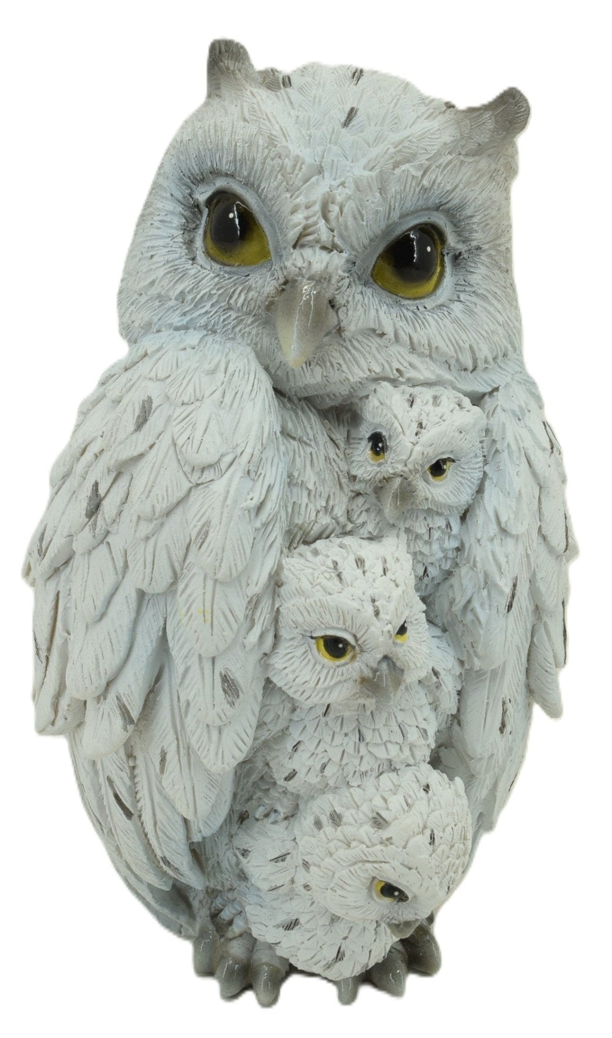 Family of Owls - MarshallsHealthShop