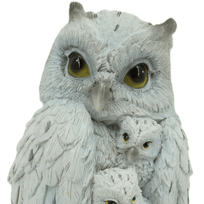 Family of Owls - MarshallsHealthShop