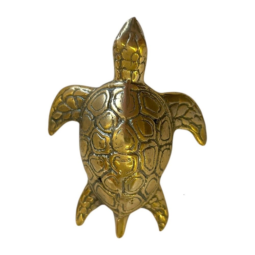 Turtle Brass
H:2.5 x W:6 x D:8 cm - Handcrafted from Brass. Celebrate calm and longevity with this beautifully handcrafted brass turtle. With its detailed shell pattern and warm golden tone, this piece brings a peaceful, coastal charm to your décor.

SKU: BITUR