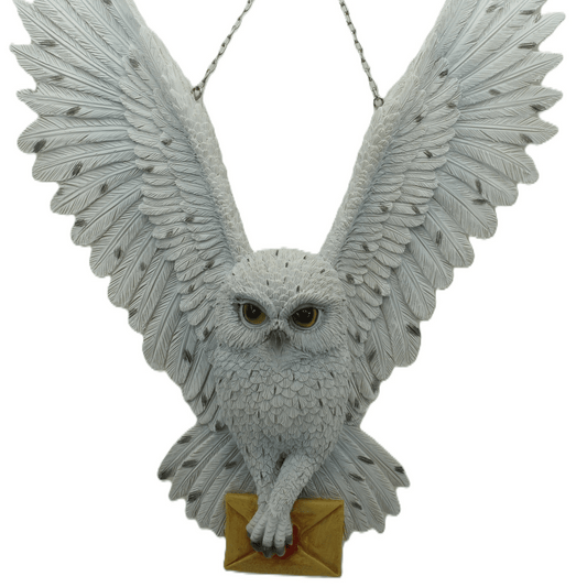 Flying Owl Wall Hanging Resin - MarshallsHealthShop