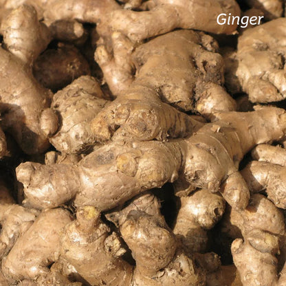 KIWIHERB Kawakawa Stomach Calm