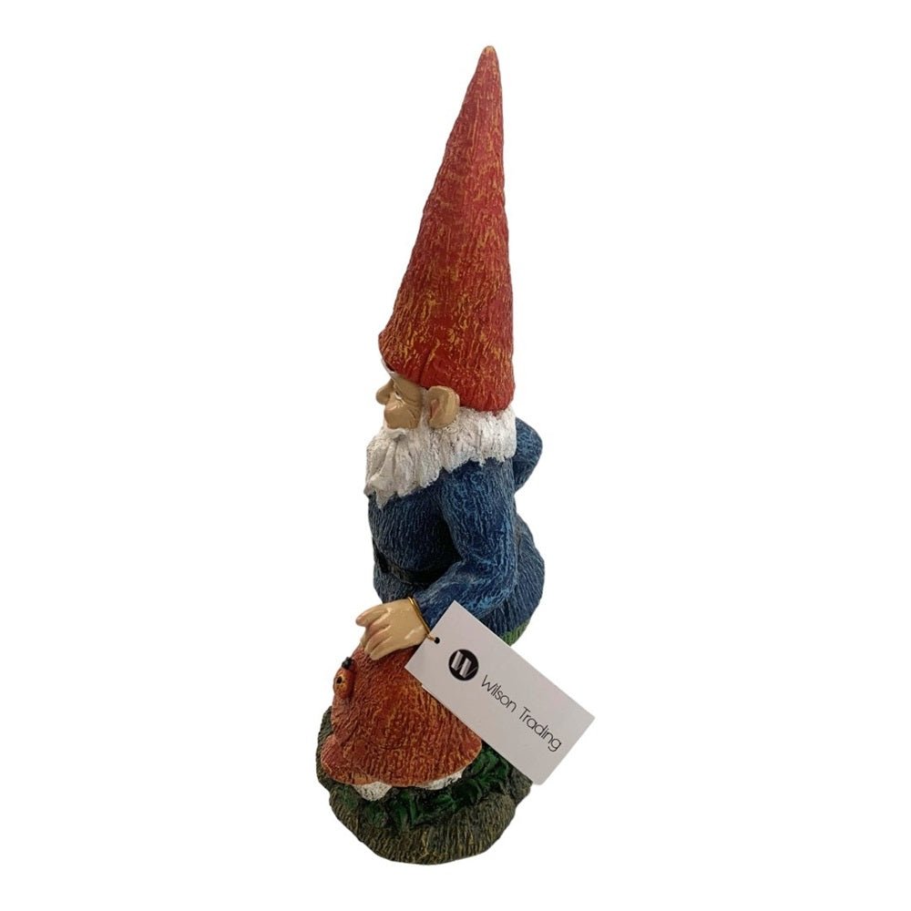 Gnome with Mushrooms - MarshallsHealthShop