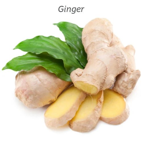 KIWIHERB Ginkgo Alert 200ml - MarshallsHealthShop