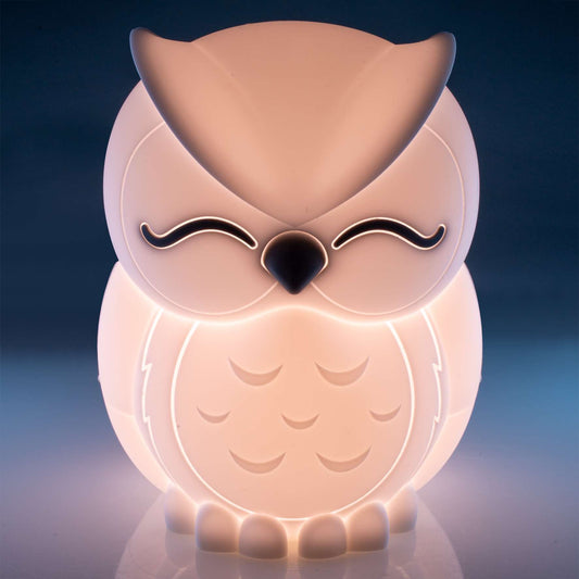 Lil Dreamers Owl Soft Touch LED Light
Adorable sleeping owl LED touch lamp
Activate and adjust 6 levels of brightness with just a touch
Soft silicone casing with efficient LED bulb
Rechargeable battery with included charging cord
Lithium not replaceable
LED bulb not replaceable
1st Stop, Marshall's Health Shop, Gift Shop!

SKU: RS-LTL/O