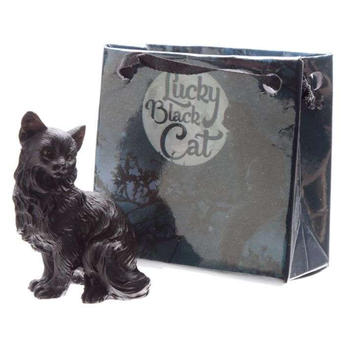 Lucky Black Cat in a Mini Gift Bag - MarshallsHealthShop