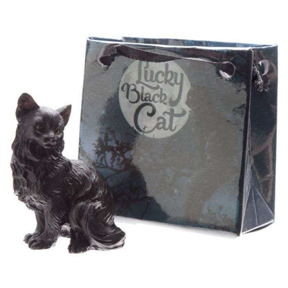 Lucky Black Cat in a Mini Gift Bag - MarshallsHealthShop
