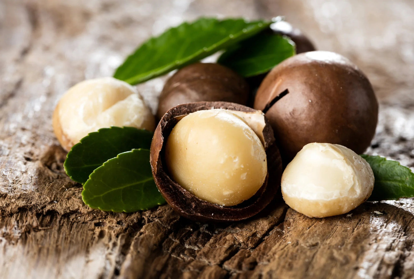 Matakana Macadamia Nuts - Raw Unsalted 250g - 1st Stop Marshall's Health Shop, Gift Shop! - Heath and Natural Therapy New Brighton Christchurch - Naturopath