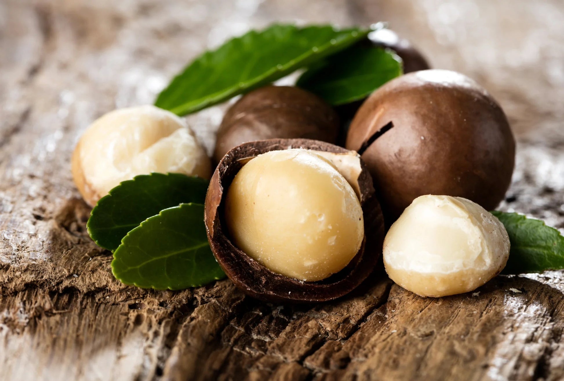 Matakana Macadamia Nuts - Raw Unsalted 250g - 1st Stop Marshall's Health Shop, Gift Shop! - Heath and Natural Therapy New Brighton Christchurch - Naturopath