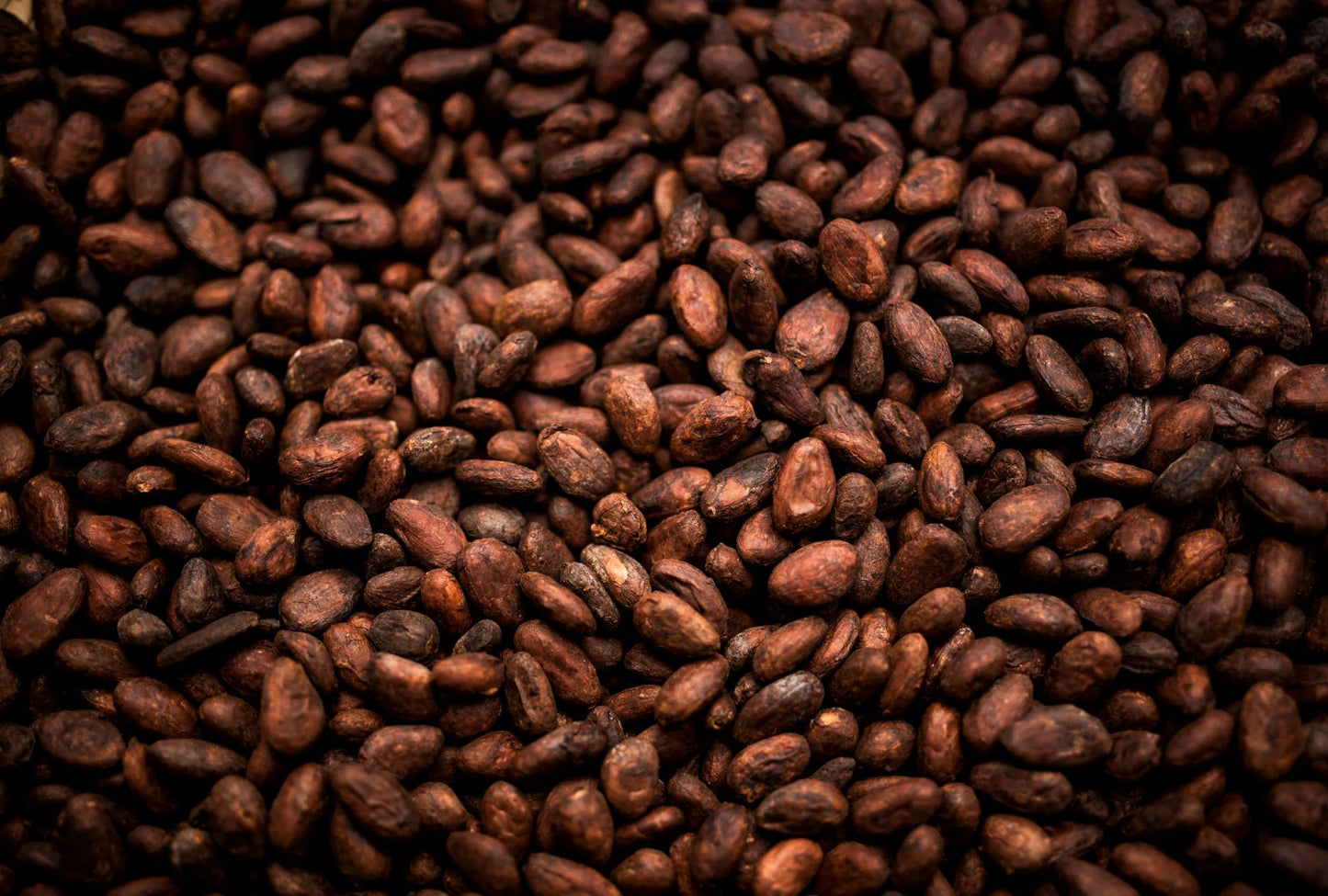 Matakana Organic Hemp Dark Chocolate Bar 45g - 1st Stop Marshall's Health Shop, Gift Shop! - Heath and Natural Therapy New Brighton Christchurch - Naturopath