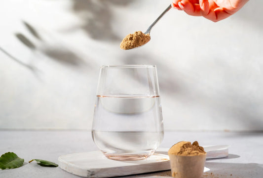 Matakana Organic Maca Root Red Gelatinised Powder 250g - 1st Stop Marshall's Health Shop, Gift Shop! - Heath and Natural Therapy New Brighton Christchurch - Naturopath