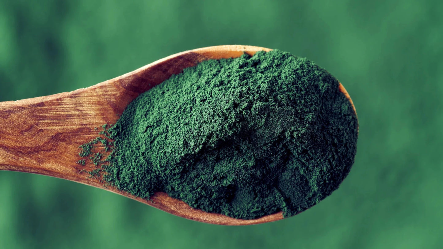 Matakana Organic Spirulina Powder 100g - 1st Stop Marshall's Health Shop, Gift Shop! - Heath and Natural Therapy New Brighton Christchurch - Naturopath