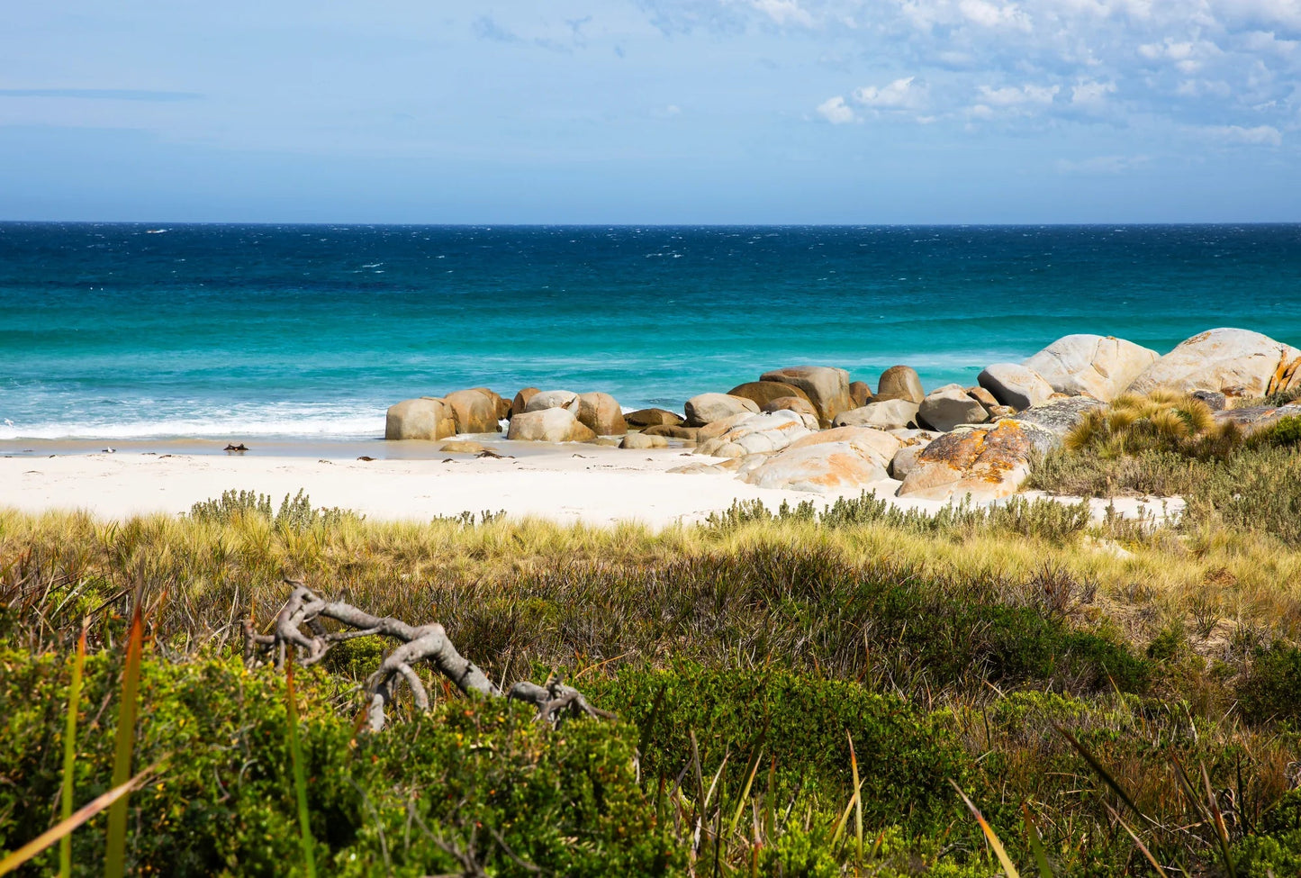 Matakana Organic Wakame & Mekabu Seaweed Powder 100g - 1st Stop Marshall's Health Shop, Gift Shop! - Heath and Natural Therapy New Brighton Christchurch - Naturopath